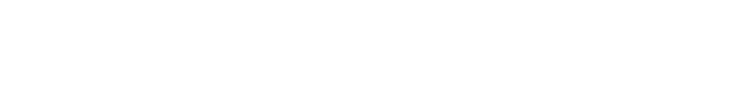 Workshop tekst